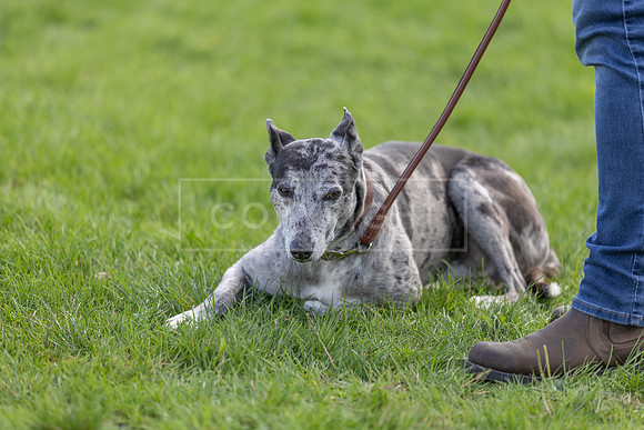 Scruffts heat @ Detling 21st September 2025-134