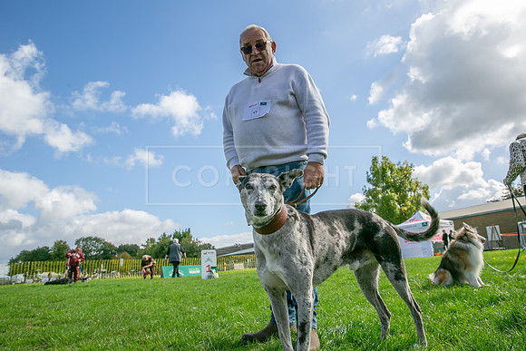 Scruffts heat @ Detling 21st September 2025-136