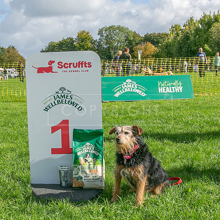 Scruffts heat @ Detling 21st September 2025-139
