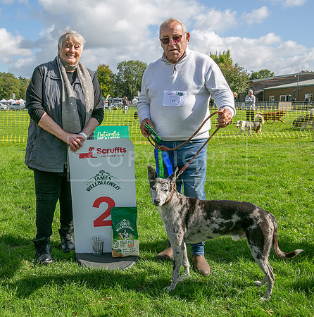 Scruffts heat @ Detling 21st September 2025-141