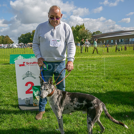 Scruffts heat @ Detling 21st September 2025-142