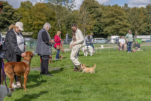 Scruffts heat @ Detling 21st September 2025-149