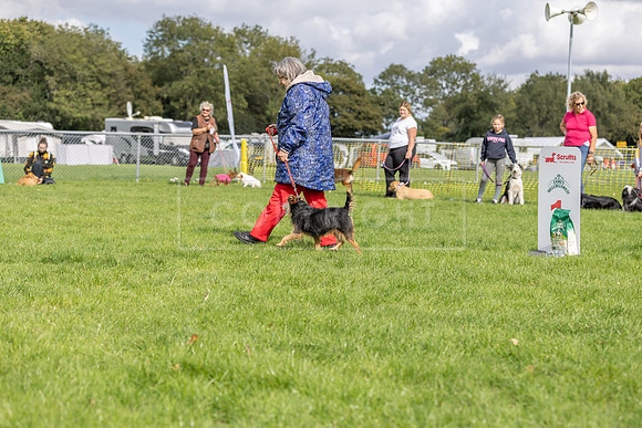 Scruffts heat @ Detling 21st September 2025-150