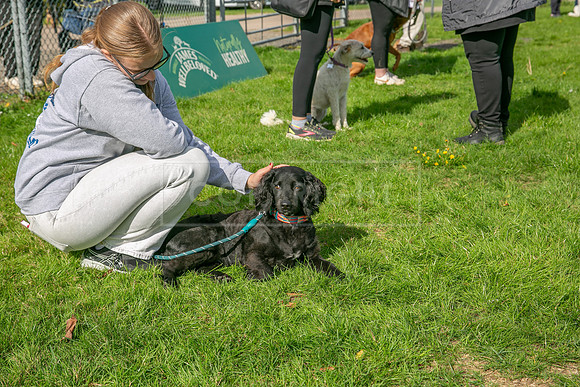 Scruffts heat @ Detling 21st September 2025-147