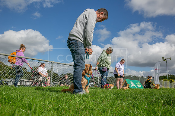 Scruffts heat @ Detling 21st September 2025-154
