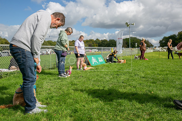 Scruffts heat @ Detling 21st September 2025-155