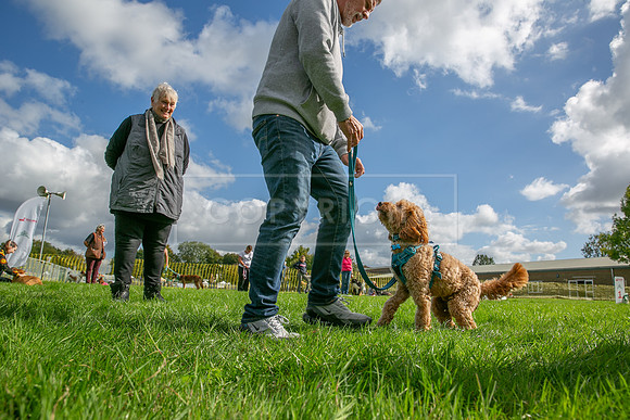 Scruffts heat @ Detling 21st September 2025-156