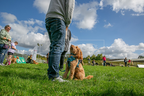 Scruffts heat @ Detling 21st September 2025-157