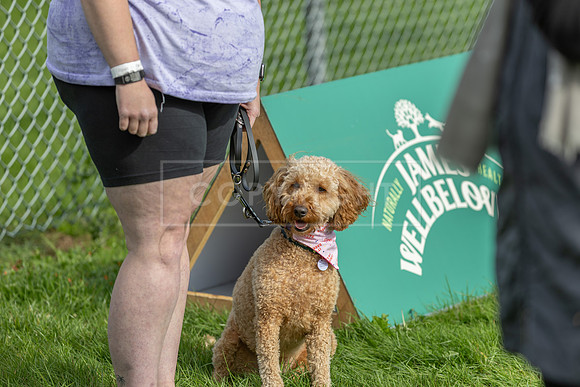Scruffts heat @ Detling 21st September 2025-158