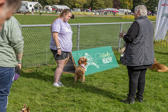Scruffts heat @ Detling 21st September 2025-159