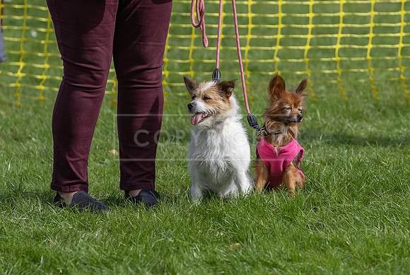 Scruffts heat @ Detling 21st September 2025-164