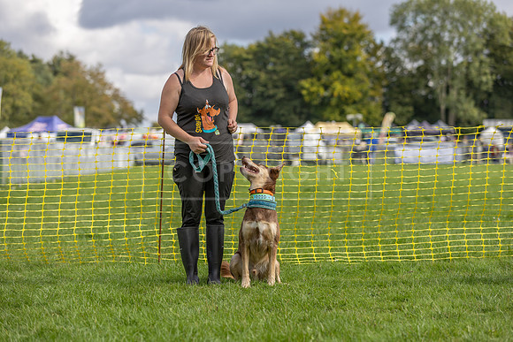 Scruffts heat @ Detling 21st September 2025-165