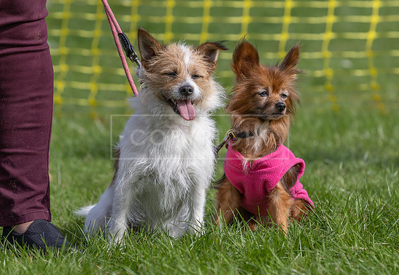 Scruffts heat @ Detling 21st September 2025-166