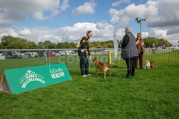 Scruffts heat @ Detling 21st September 2025-167