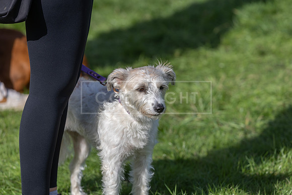 Scruffts heat @ Detling 21st September 2025-172