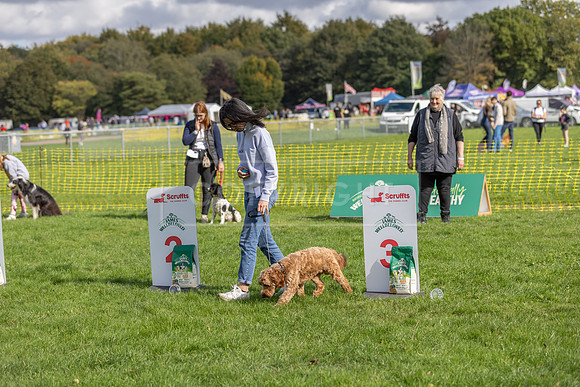 Scruffts heat @ Detling 21st September 2025-174