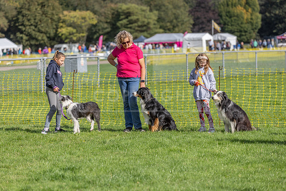 Scruffts heat @ Detling 21st September 2025-173