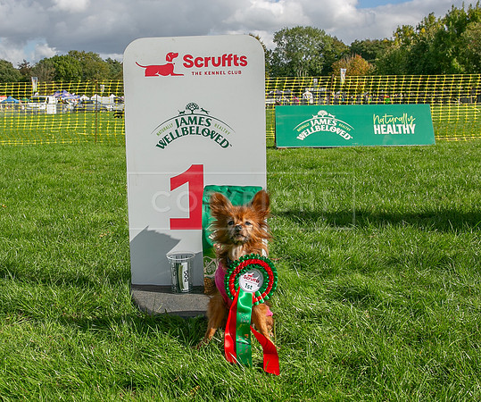 Scruffts heat @ Detling 21st September 2025-177