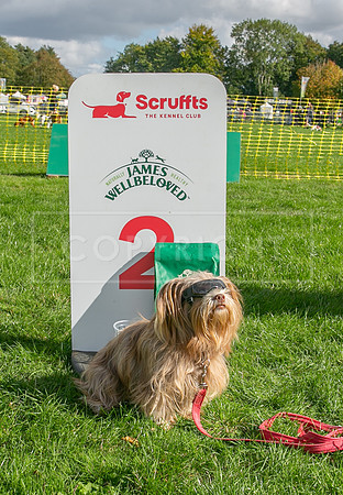 Scruffts heat @ Detling 21st September 2025-180
