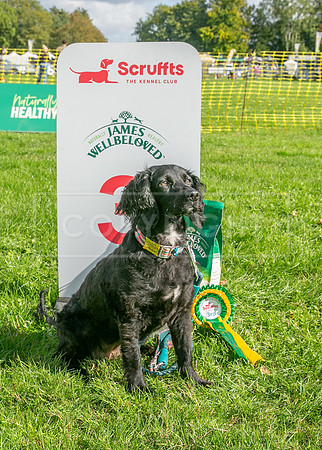 Scruffts heat @ Detling 21st September 2025-183