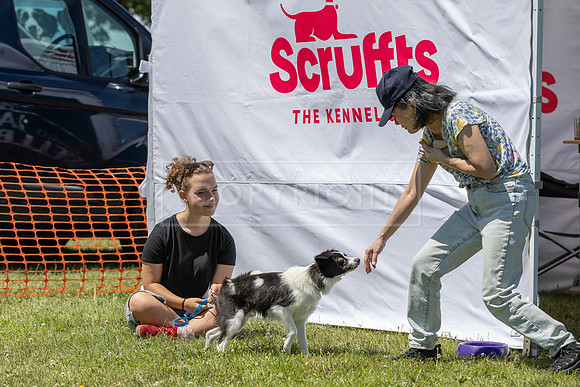Scruffts heat @ Wadebridge 13th July 2025-27