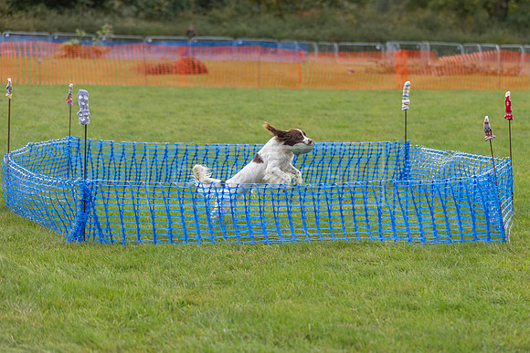 Osberton 5th October 2025-13