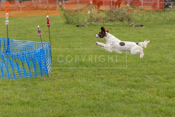 Osberton 5th October 2025-16
