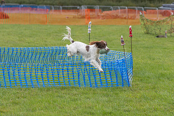 Osberton 5th October 2025-14