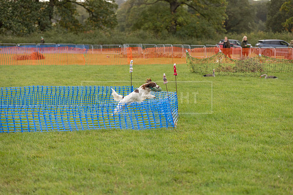Osberton 5th October 2025-17