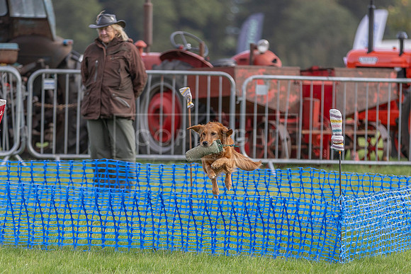 Osberton 5th October 2025-20