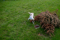 Osberton 5th October 2025-19
