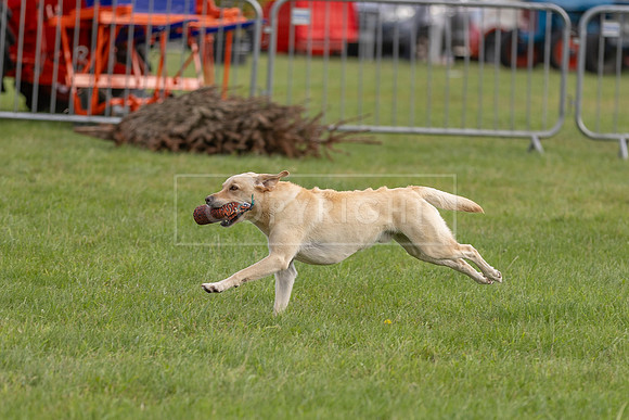 Osberton 5th October 2025-26