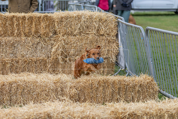 Osberton 5th October 2025-27