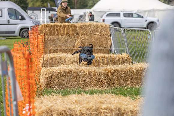 Osberton 5th October 2025-29