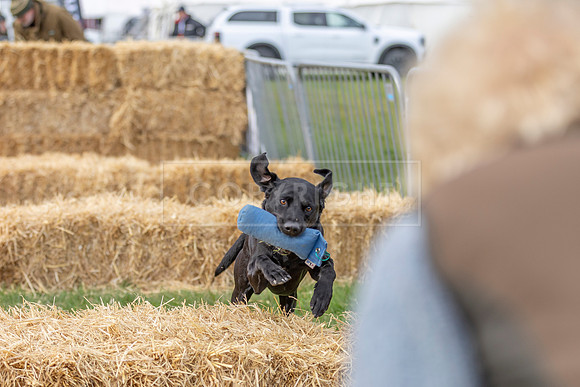 Osberton 5th October 2025-31