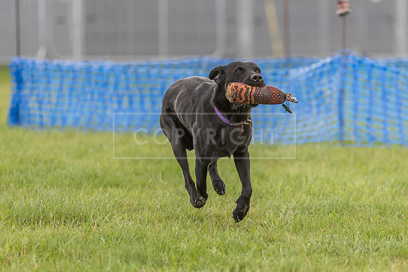 Osberton 5th October 2025-33
