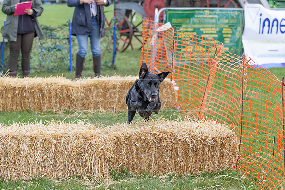Osberton 5th October 2025-39