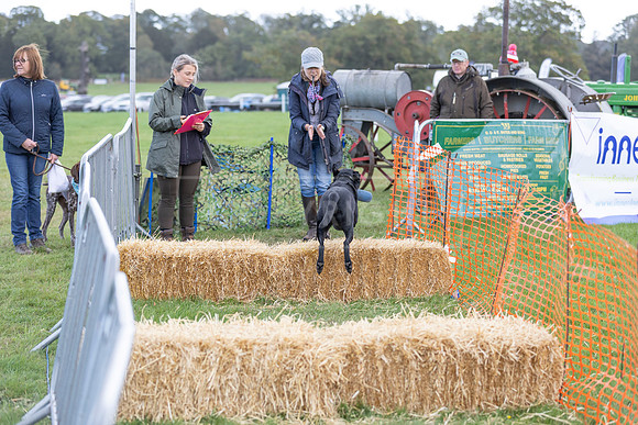 Osberton 5th October 2025-40