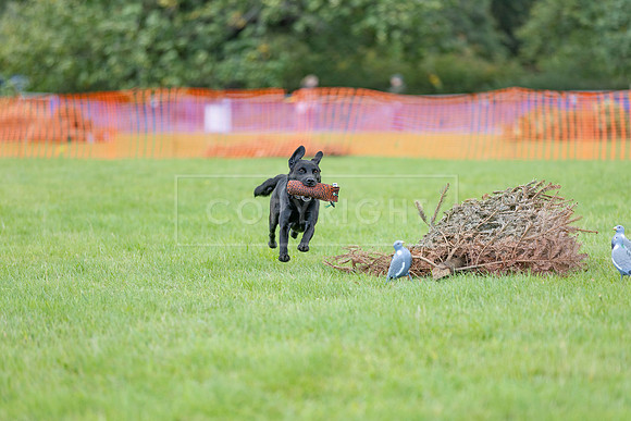 Osberton 5th October 2025-44