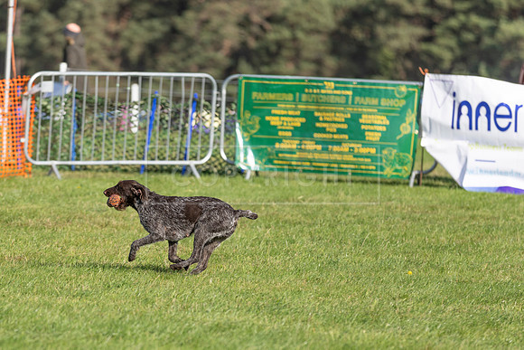 Osberton 5th October 2025-60