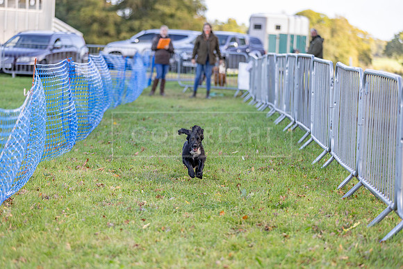Osberton 5th October 2025-79