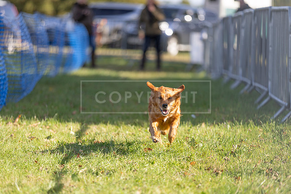 Osberton 5th October 2025-81