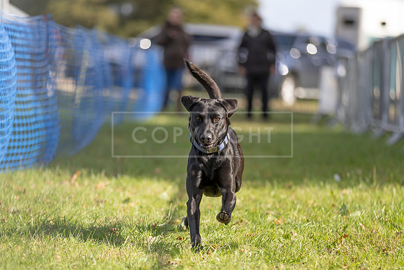 Osberton 5th October 2025-84