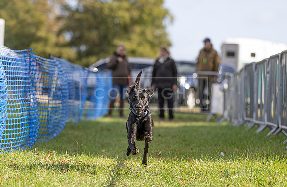 Osberton 5th October 2025-85