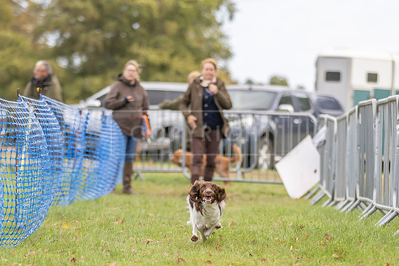 Osberton 5th October 2025-94