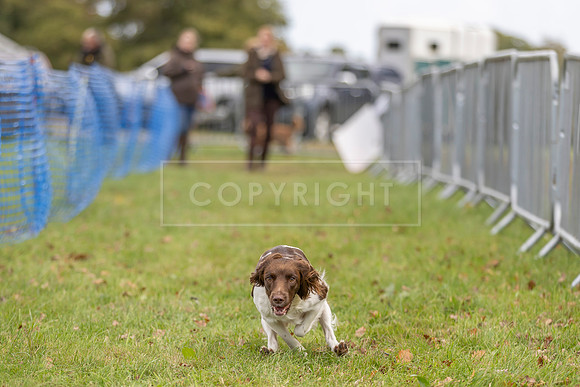 Osberton 5th October 2025-96