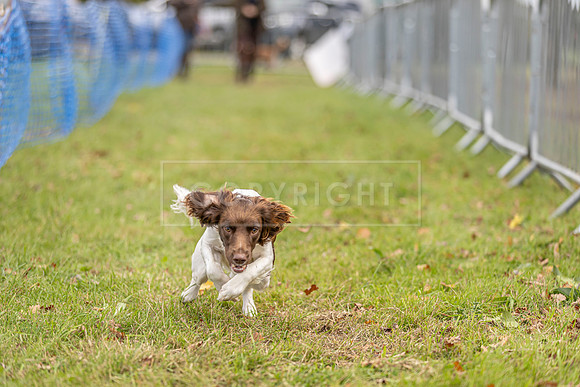 Osberton 5th October 2025-97
