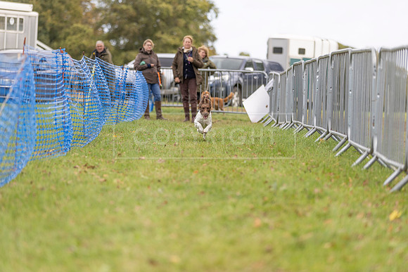 Osberton 5th October 2025-99
