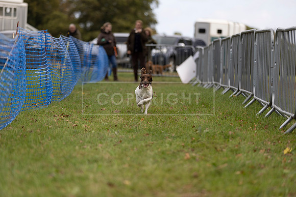 Osberton 5th October 2025-100