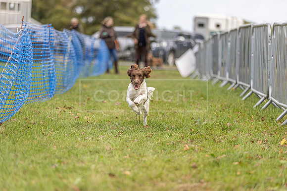 Osberton 5th October 2025-101